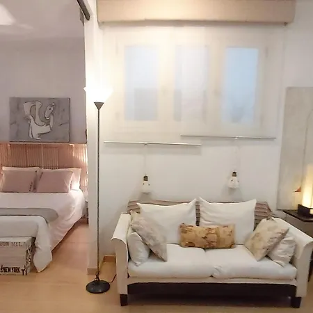 Habitacion En Apartamento Vegueta *